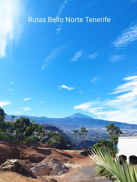 Guided Walking Tour in La Orotava,Tenerife - Highlights of the Itinerary
