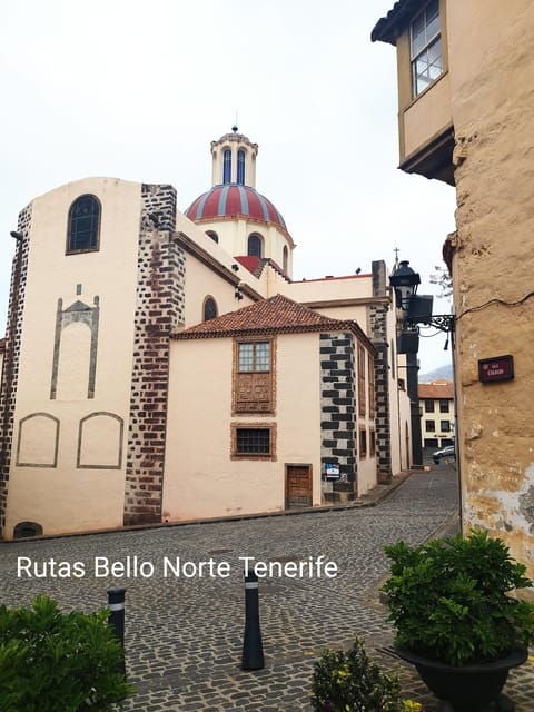 Guided Walking Tour in La Orotava,Tenerife - Scenic Views and Natural Wonders