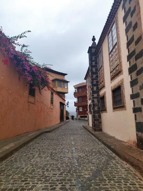Guided Walking Tour in La Orotava,Tenerife - Engaging and Entertaining Experience