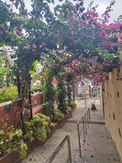 Guided Walking Tour in La Orotava,Tenerife - Accessibility and Comfort