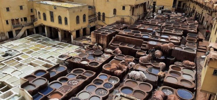 Guided Walking Tour in Old Medina Fez - Tour Overview