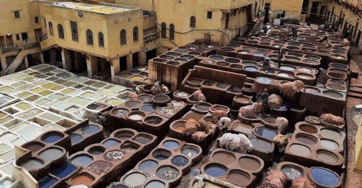 Guided Walking Tour in Old Medina Fez - Historical Landmarks