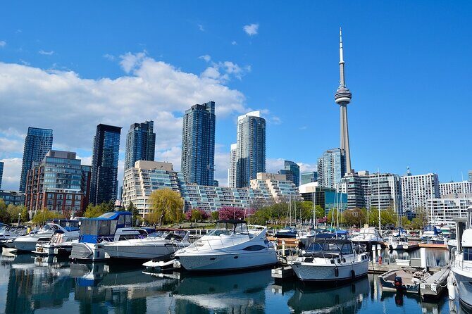 Guided Walking Tour in Toronto - A Deep Dive into the Tour Experience