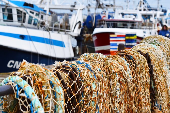 Guided Walking Tour of Honfleur - Practical Information