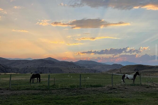 Guided Walking Tour of Methow Meadows and Meet the Animals - Tour Overview
