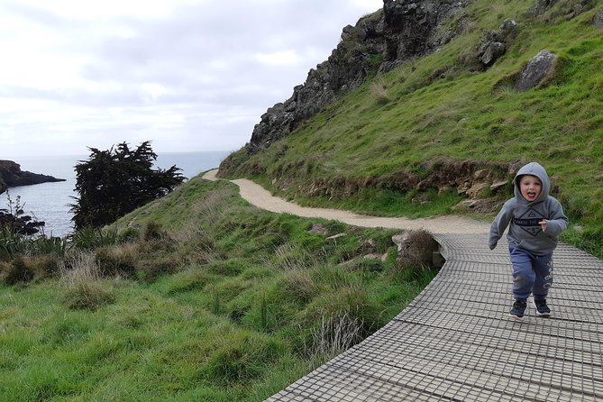 Guided Walking Tour & Scenic Drive Form Christchurch - Lyttelton & Godley Head - Cancellation Policy