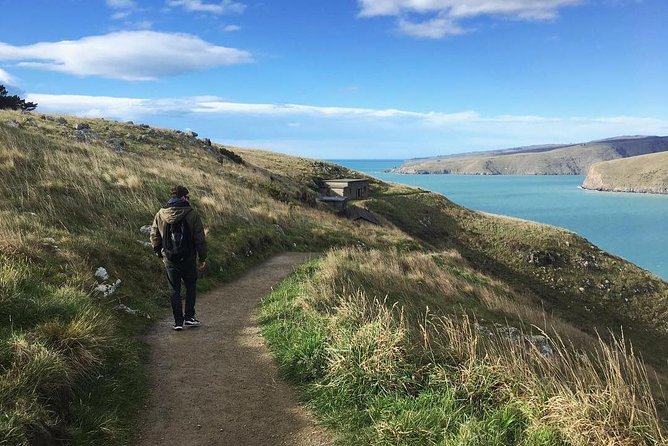 Guided Walking Tour & Scenic Drive Form Christchurch - Lyttelton & Godley Head - Pricing and Terms