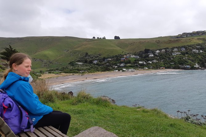 Guided Walking Tour & Scenic Drive Form Christchurch - Lyttelton & Godley Head - Itinerary