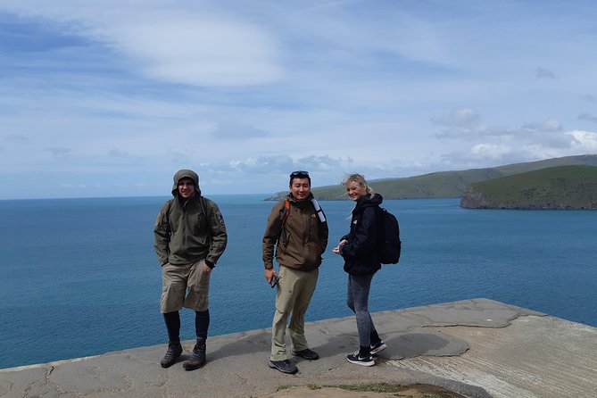 Guided Walking Tour & Scenic Drive Form Christchurch - Lyttelton & Godley Head - Common Questions