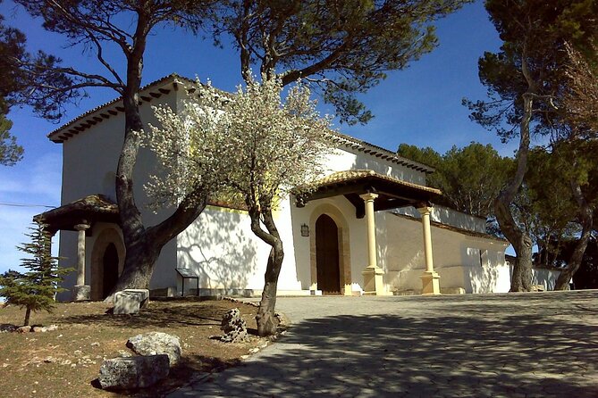 Guided Walking Tour to the Cradle of the Renaissance in Mondéjar - Common Questions