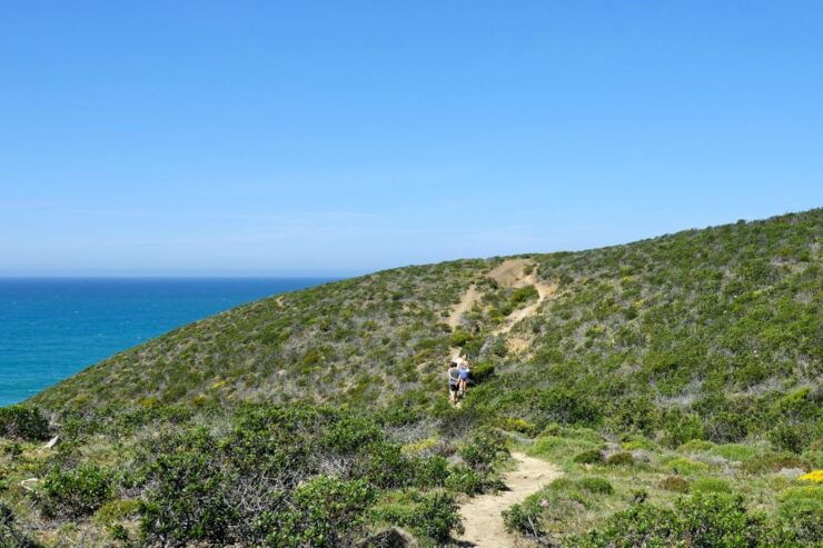 Guided WalkPicnic: Western Algarves Wild Beauty - Meeting Point Information