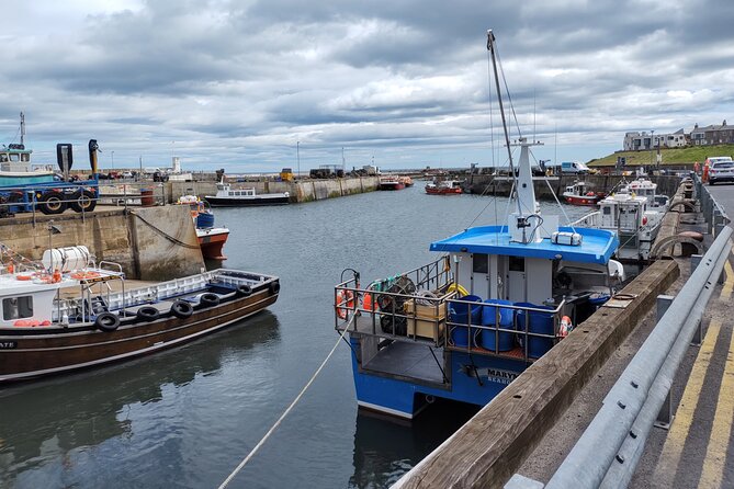 Guided Walks and Tours, Seahouses, Beadnell & Bamburgh - Cancellation Policy