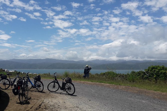 Guided Wellington Sightseeing Tour by Electric Bike - Common Questions