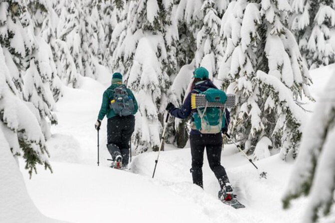 Guided Wilderness Snowshoes Expedition Tour in Rovaniemi - Tour Duration and Admission