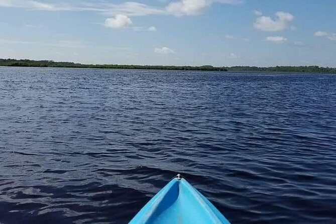 Guided Wildlife Eco Kayak Tour in New Smyrna Beach - Exploring the Indian River Lagoon: What You Can Expect