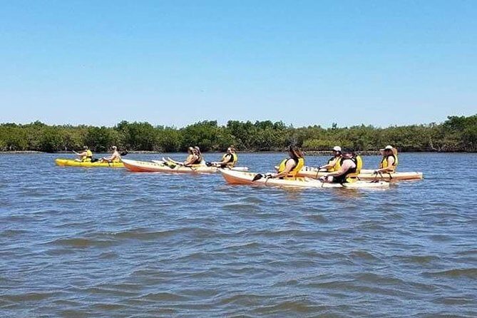 Guided Wildlife Eco Kayak Tour in New Smyrna Beach - Frequently Asked Questions