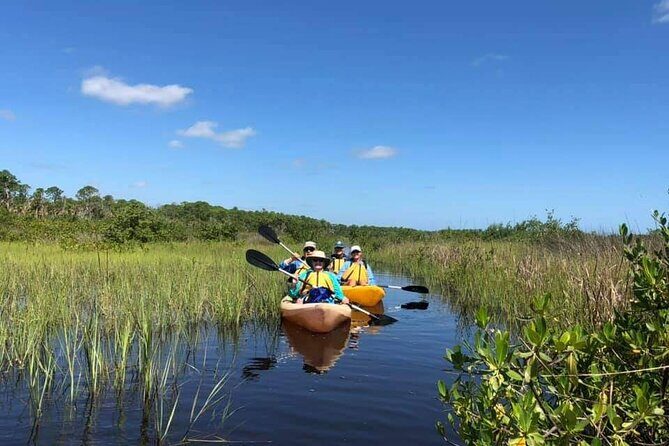Guided Wildlife Eco Kayak Tour in New Smyrna Beach - Final Thoughts