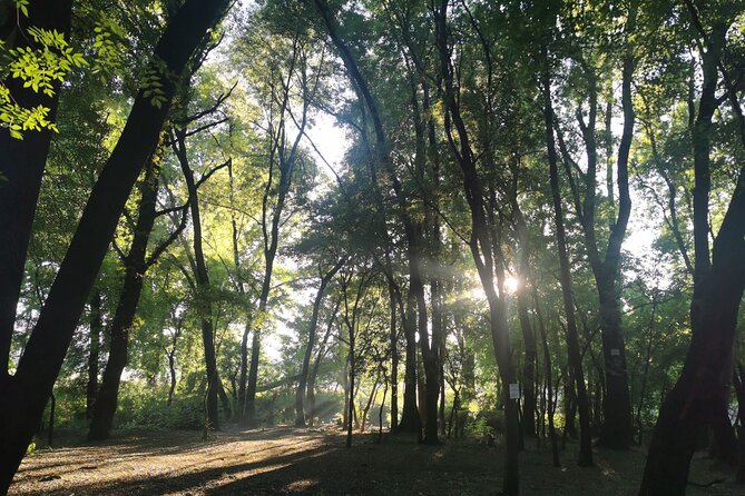 Guided Wildlife Hiking in the Magaliesberg - Only an Hour From Johannesburg - Flexible Cancellation Policy for Peace of Mind