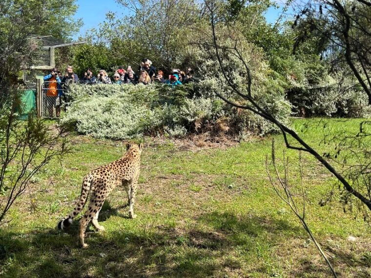 Guided Wildlife Tour and Forest Walk with Lunch Platter - Final Thoughts