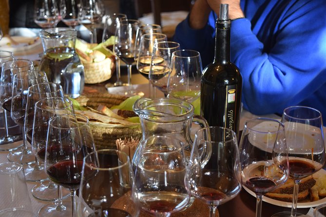 Guided Wine and Olive Oil Tasting - Important Information and Accessibility Details