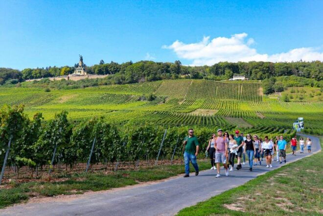 Guided Wine Hikes With 4 Wines and Cable Car Ride - Cable Car Ride Experience