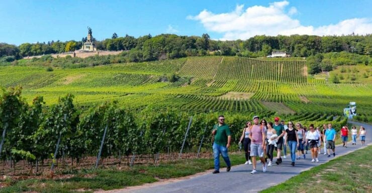 Guided Wine Hikes With 4 Wines and Cable Car Ride - Frequently Asked Questions
