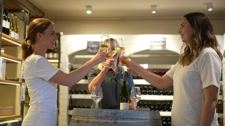 Guided Wine Tasting / Wine Tasting Koblenz - Key Points