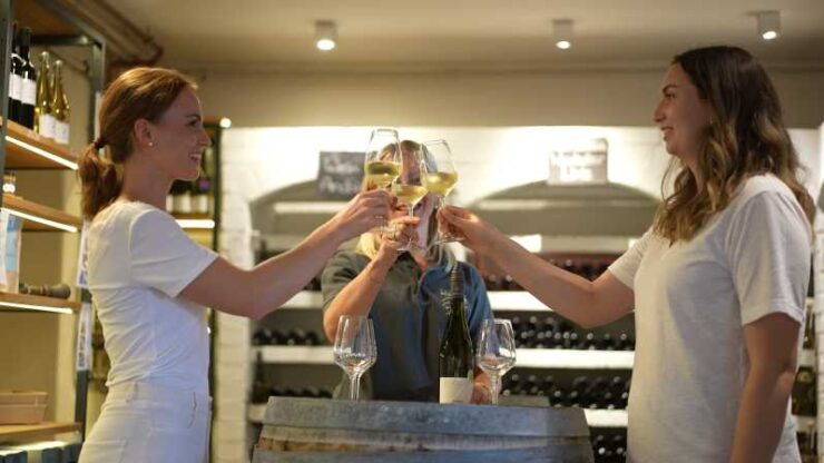 Guided Wine Tasting / Wine Tasting Koblenz - Booking Details