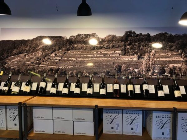 Guided Wine Tasting / Wine Tasting Koblenz - The Sum Up