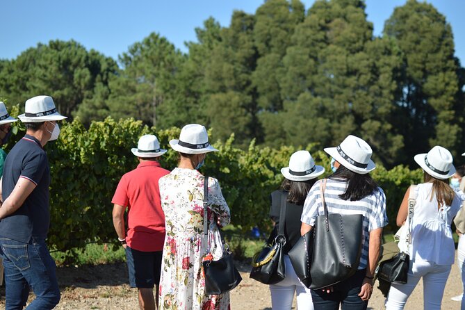 Guided Winery Tour and Wine Tasting in Pontevedra - Pontevedra as a Winery Destination