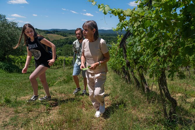 Guided Winery Tour and Wine Tasting in Siena - Inclusions