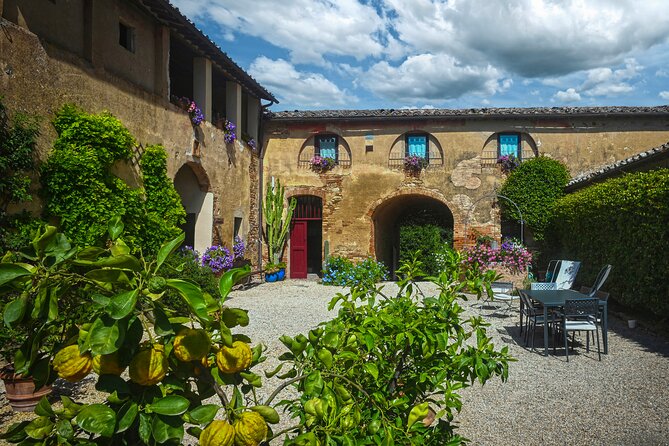 Guided Winery Tour and Wine Tasting in Siena - Meeting Point and Time