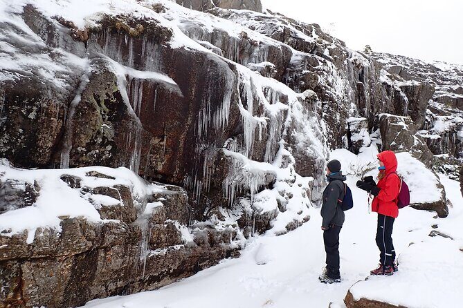 Guided winter hike to Pulpit Rock Preikestolen - Logistics and Comfort