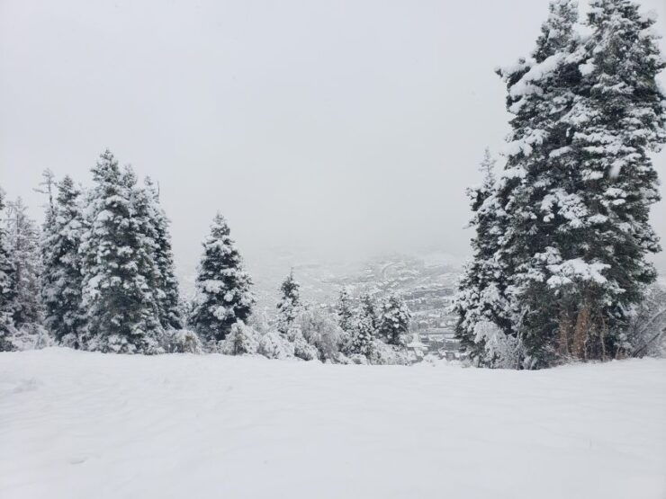 Guided Winter Uinta Forest Hike W/ Lunch Stop - Hike Experience