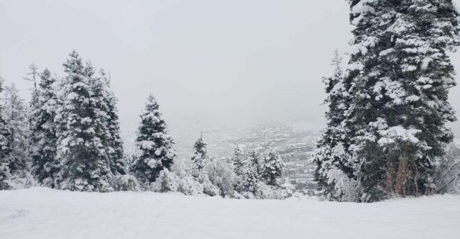 Guided Winter Uinta Forest Hike W/ Lunch Stop - Pickup Details