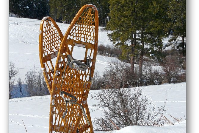 Guided Winter Wonderland Snowshoeing Adventure From Prague - Meeting and Pickup