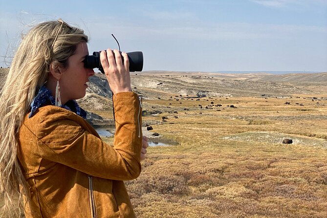 Guided Yellowstone National Park Trip - Why the Guide Matters