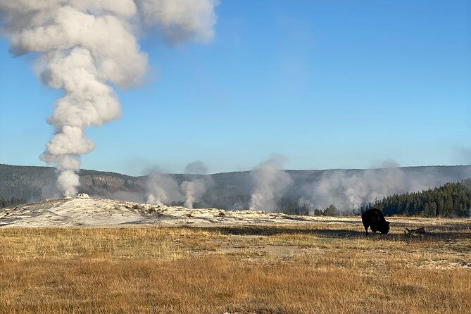 Guided Yellowstone National Park Trip - Value for Money