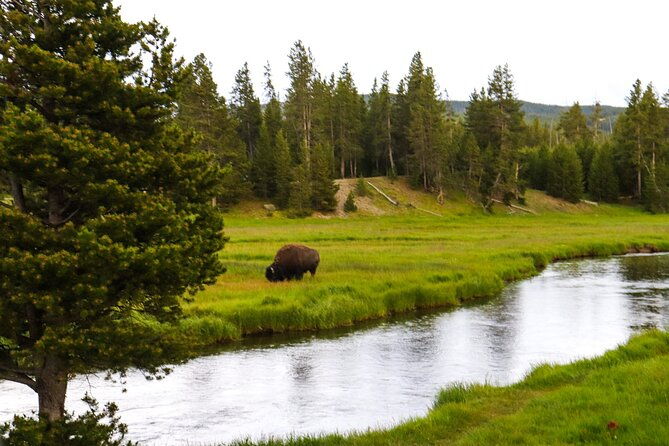 Guided Yellowstone National Park Trip - Practical Considerations