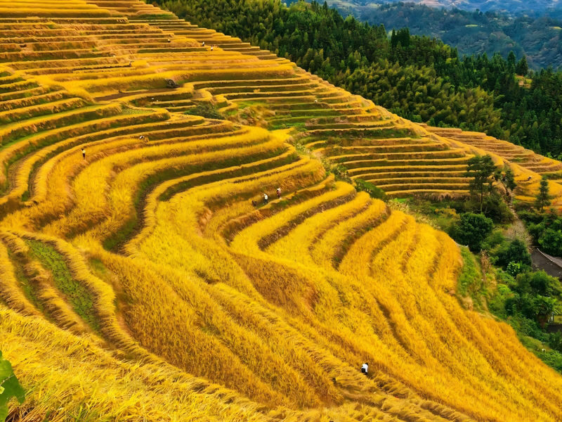 Guilin 5-Day Longji and Li River Landscape Tour - Five days from Guilin’s terraces to Yangshuo’s rivers
