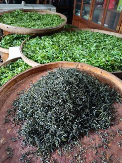 Guilin: City Tour with Elephant Hill & Ming Tea Tasting - Exploring Guilin: A Closer Look