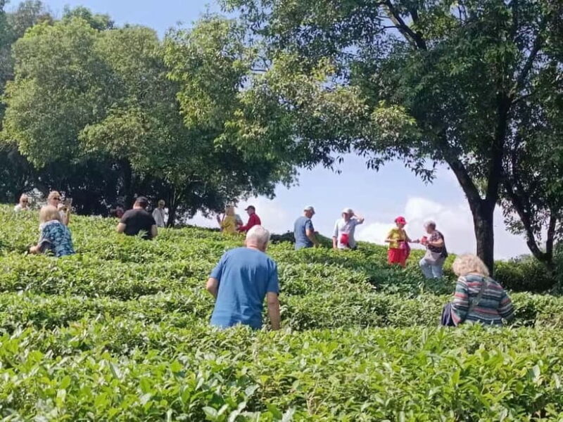 Guilin: City Tour with Elephant Hill & Ming Tea Tasting - Good To Know