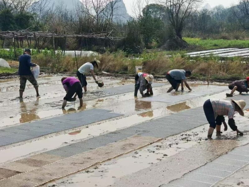 Guilin: Countryside Cycling 1-day Tour with Cooking Class - Good To Know