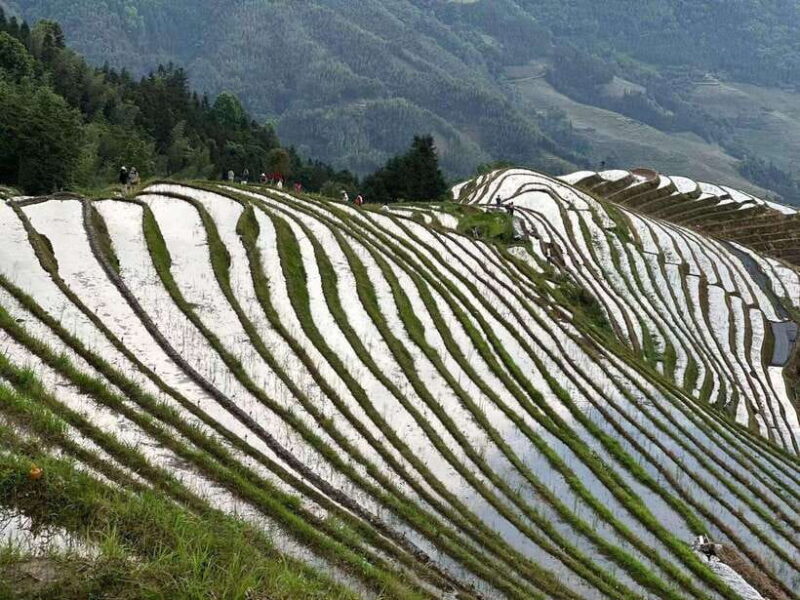 Guilin: Day tour of Longji Rice Terraces and Yangshuo - FAQ