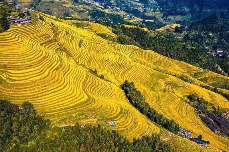 Guilin Departure Longji Terraces Pingan Zhuang Village, Changfa Village, Jinkeng Terraces 1-Day Tour - At a glance