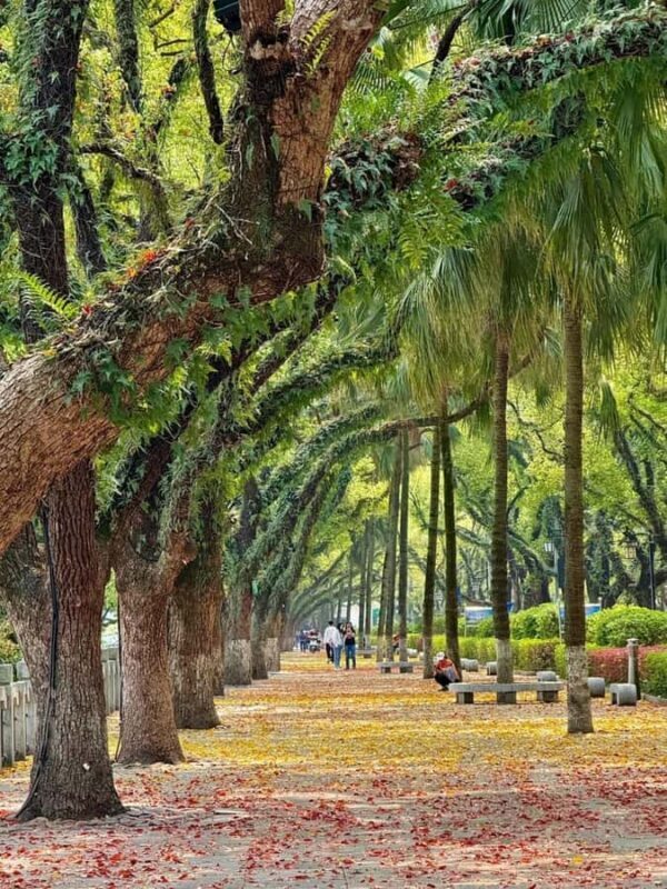 Guilin: Guided Walking Tour with Night Market Visit - FAQ