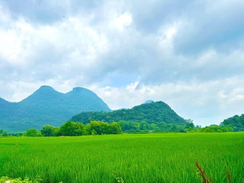 Guilin: Half Day Yanzi Cave Exploration Tour - The Experience in Detail