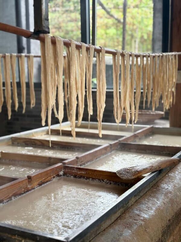 Guilin: Heritage Tour of Ancient Village, Craft & River View - Practical Details & Tips