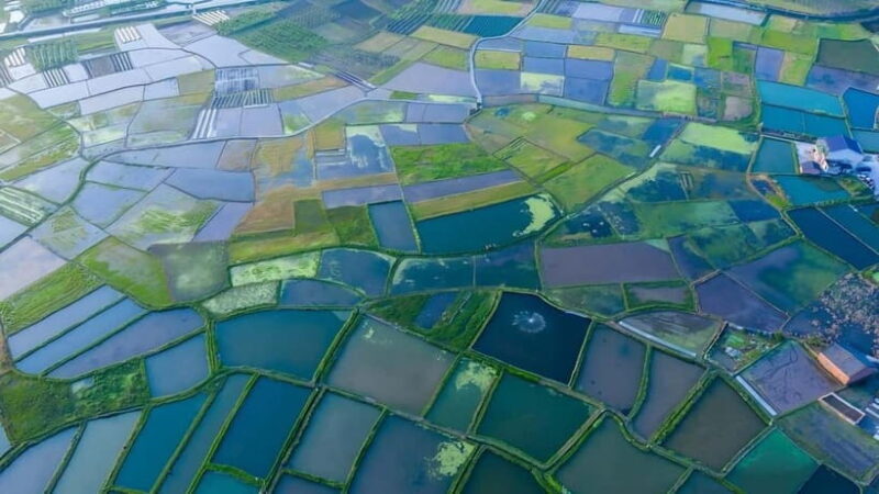 Guilin: Huixian Wetland Boat Ride & Glass Fields Tour - Who Should Consider This Tour?