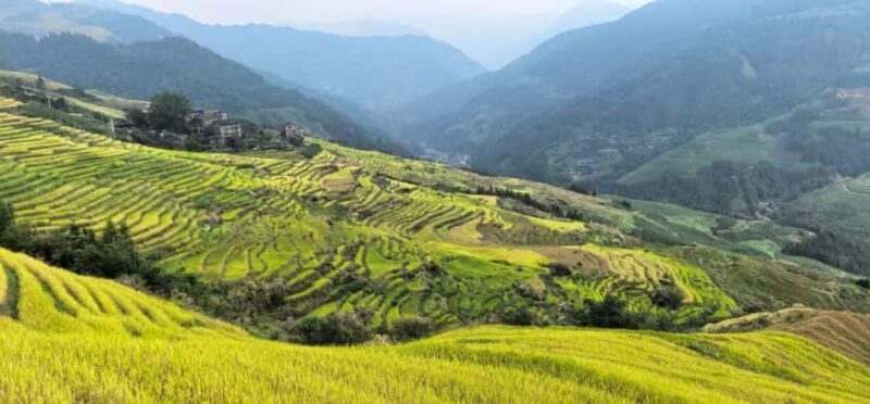 Guilin: In-Depth Longji Rice Terraces Day Trip with Lunch - Transportation and Group Dynamics